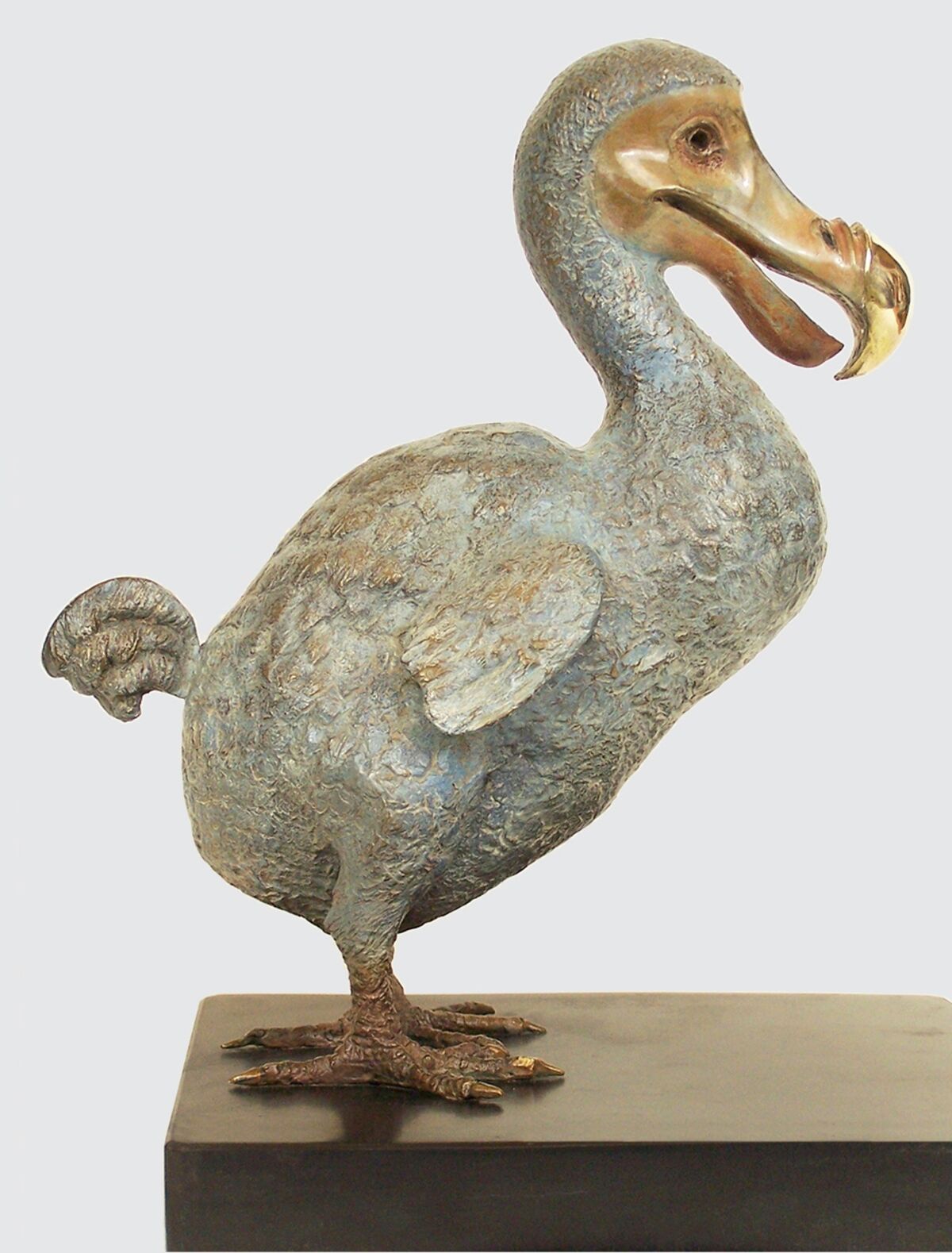 rjw-product-image-dodo-3.jpg