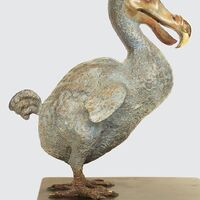 rjw-product-image-dodo-3.jpg