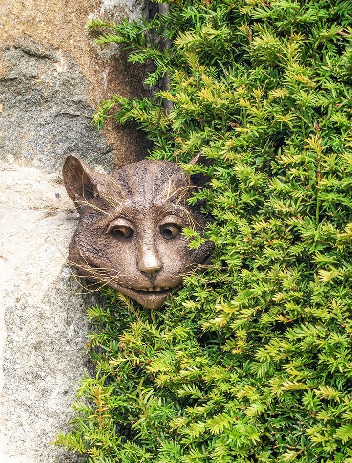 The Cheshire Cat Face - Bronze Garden Sculpture