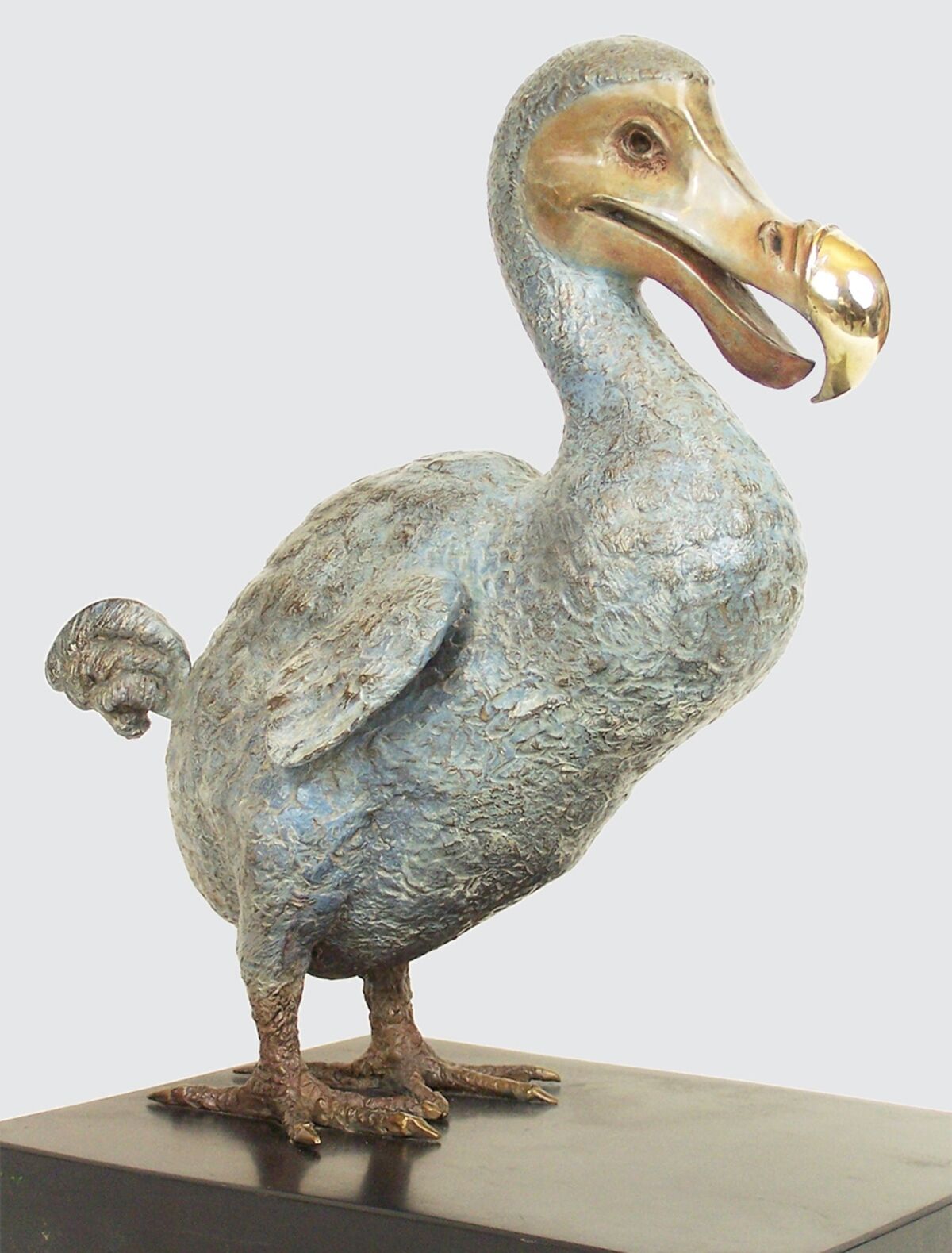 rjw-product-image-dodo-2.jpg