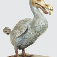 rjw-product-image-dodo-2.jpg