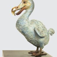 rjw-product-image-dodo-1.jpg