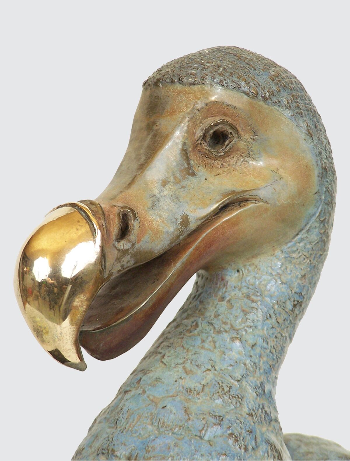 rjw-product-image-dodo-4.jpg