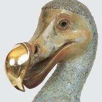 rjw-product-image-dodo-4.jpg