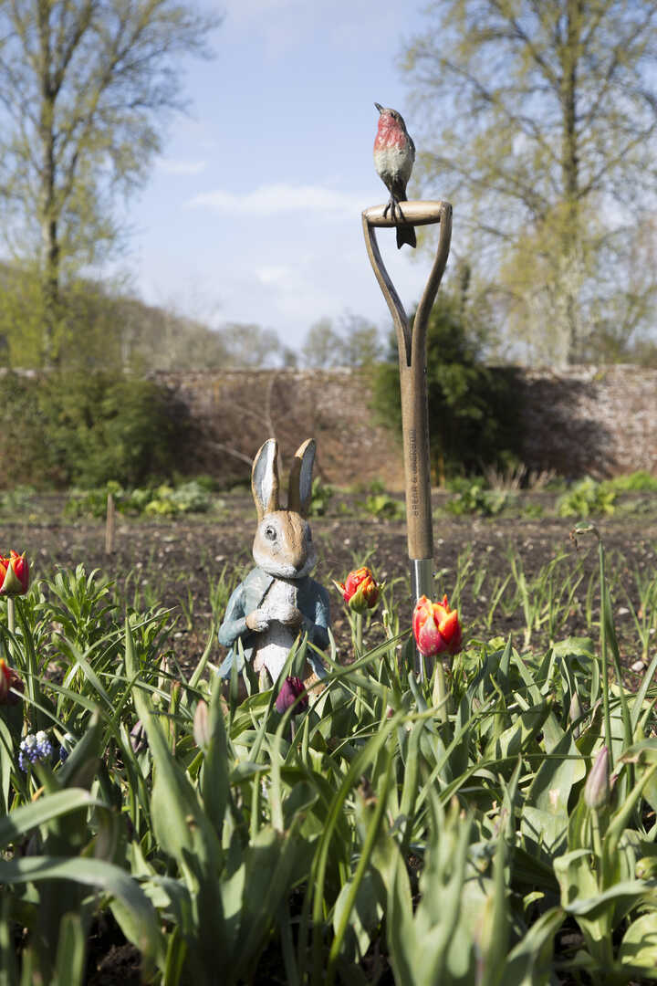 peter rabbit at forde abbey