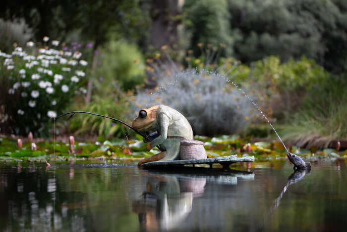 Mr Jeremy Fisher Water Feature