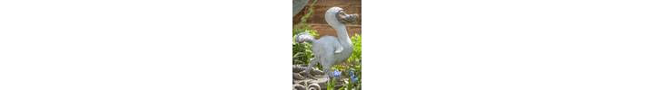 rjw-product-image-dodo-chick-5.jpg