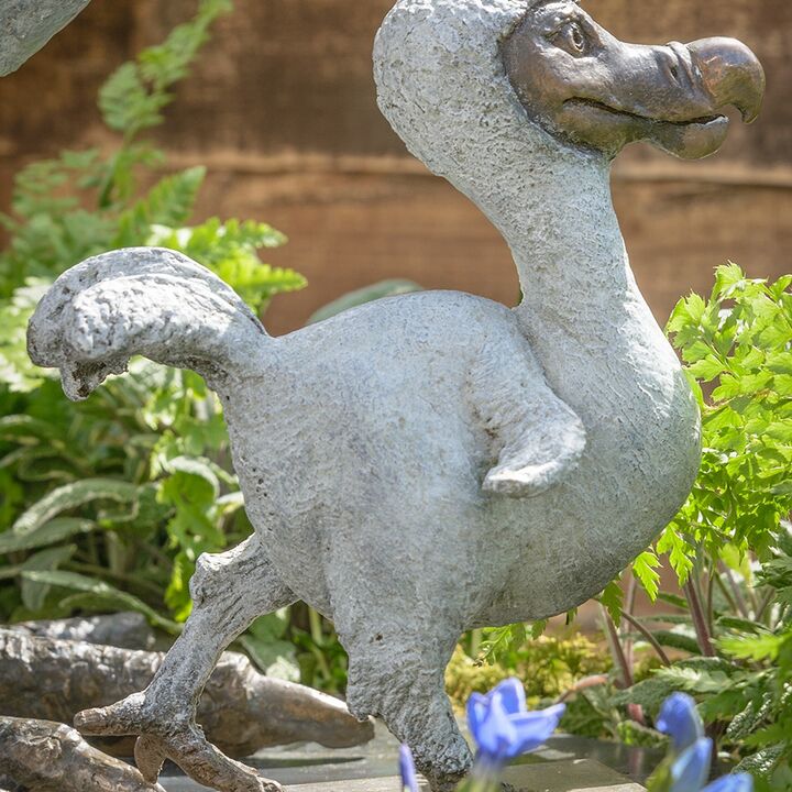 rjw-product-image-dodo-chick-5.jpg