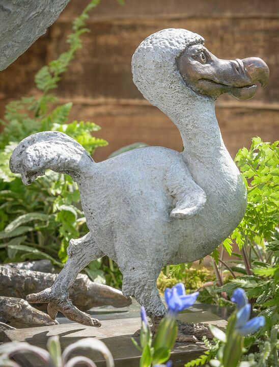 rjw-product-image-dodo-chick-5.jpg