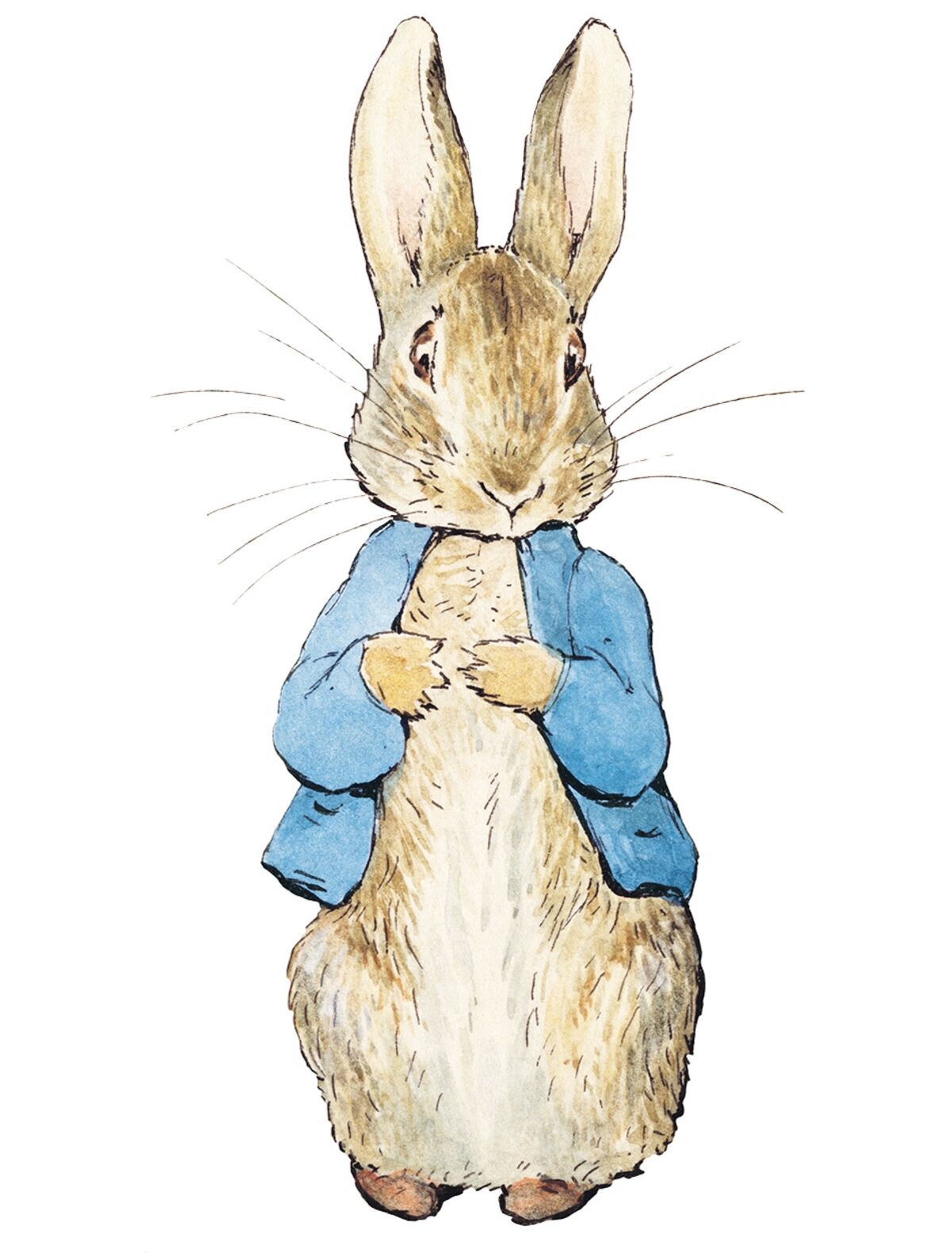 rjw-product-illustration-peter-rabbit.jpg