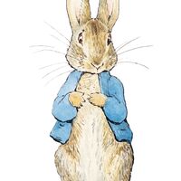 rjw-product-illustration-peter-rabbit.jpg