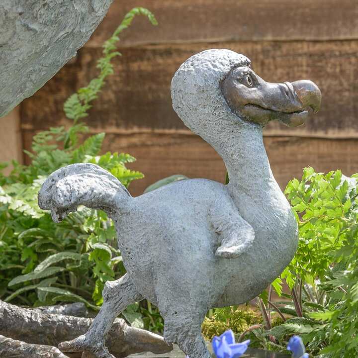 Dodo Chick