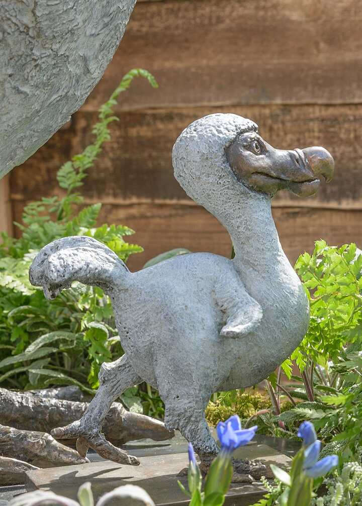 Dodo Chick
