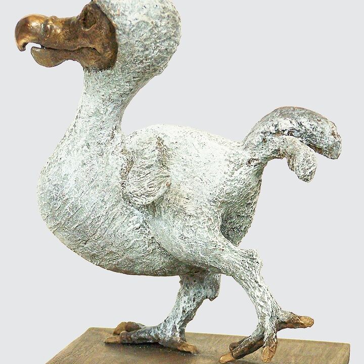 rjw-product-image-dodo-chick-3.jpg