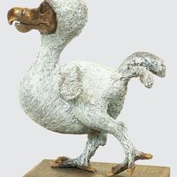 rjw-product-image-dodo-chick-3.jpg