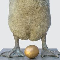 rjw-product-image-aesops-goose-3.jpg
