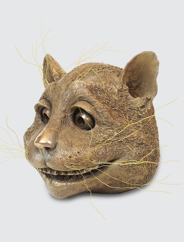 rjw-product-image-cheshire-cat-face-2.jpg