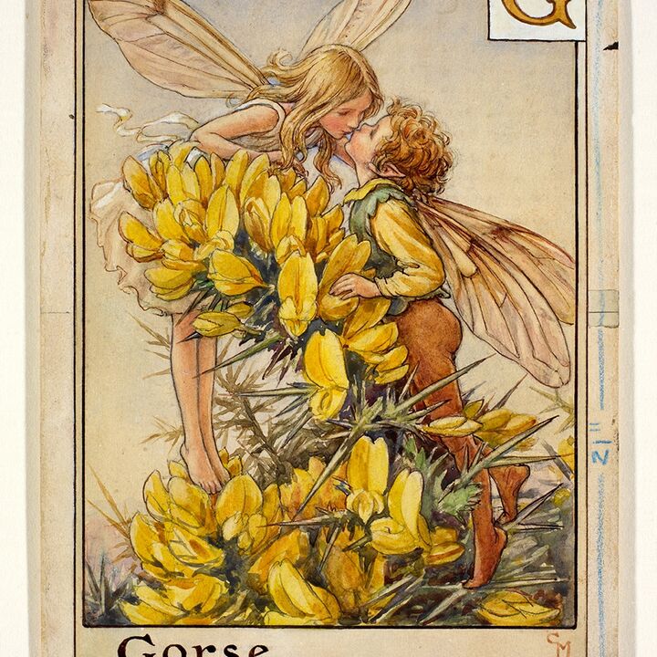 rjw-product-illustration-gorse-fairies.jpg