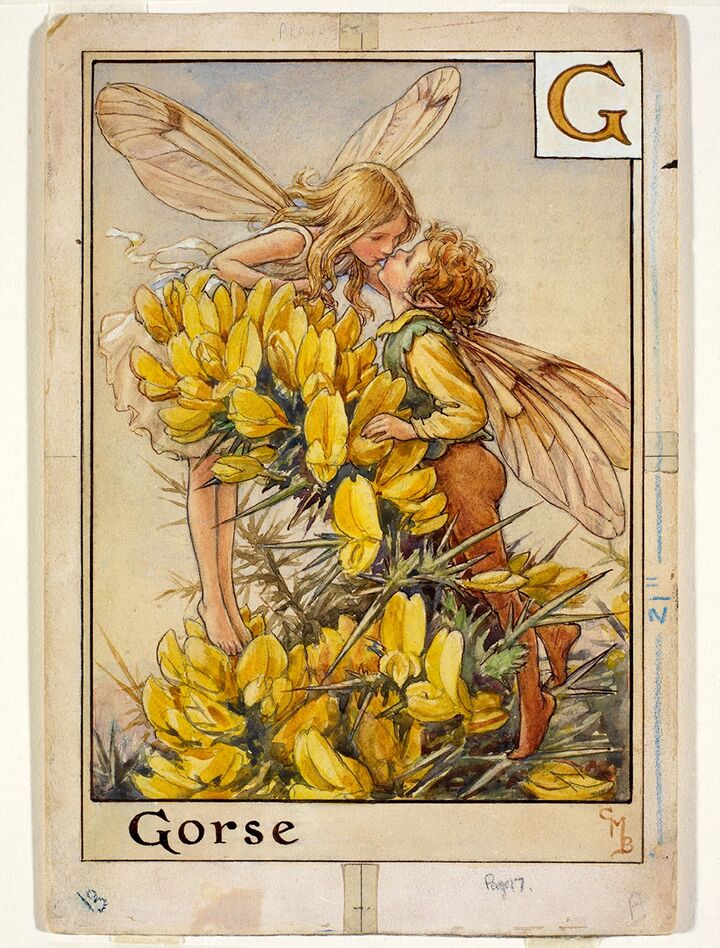 rjw-product-illustration-gorse-fairies.jpg