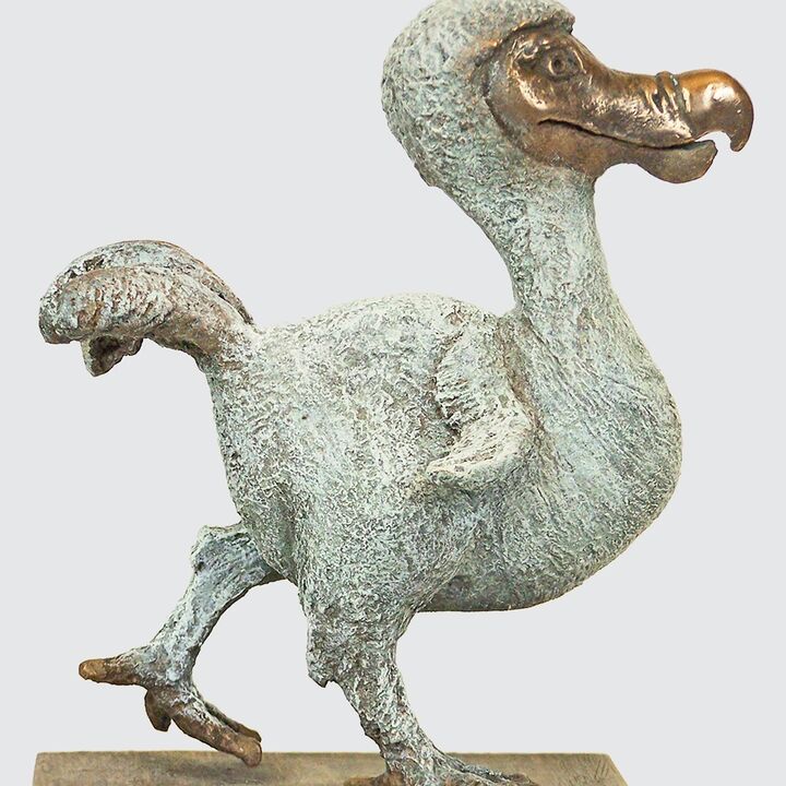 rjw-product-image-dodo-chick-1.jpg