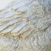 rjw-product-image-aesops-goose-4.jpg