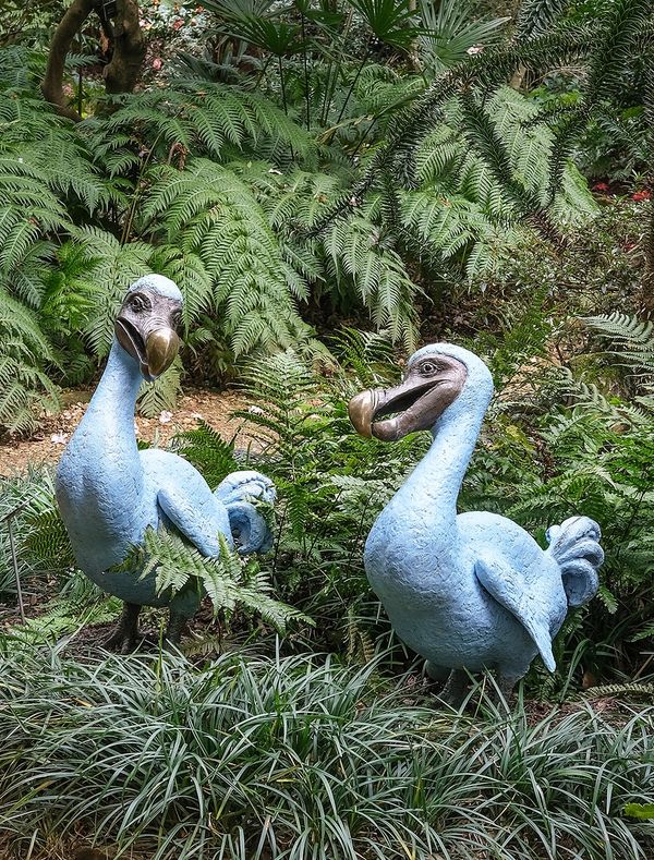 The Dodo Family - Bronze Garden Sculpture