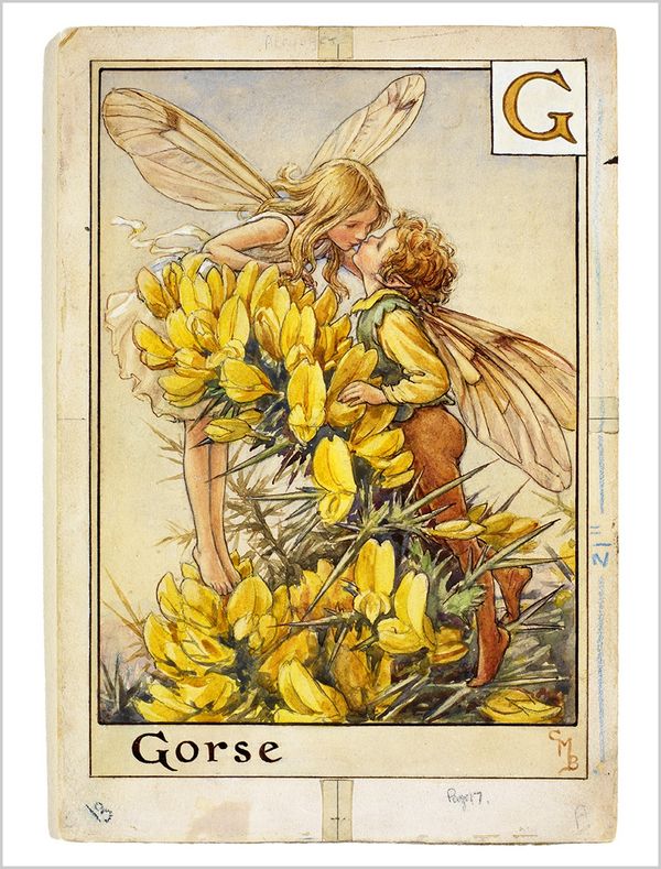 The Gorse Fairies - the original illustration by Cicley Mary Barker