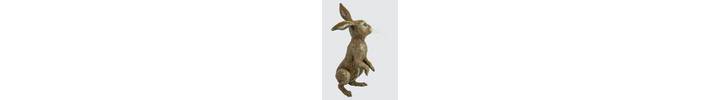 rjw-product-image-fiver-4.jpg