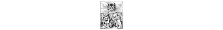 rjw-product-illustration-cheshire-cat-face.jpg