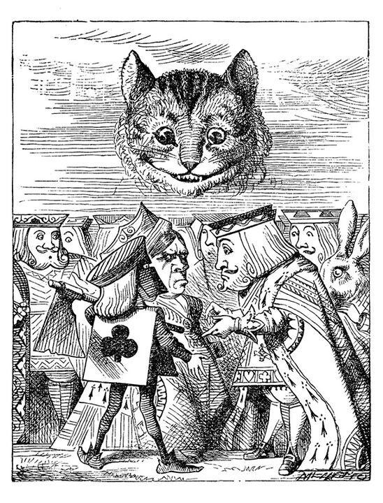 rjw-product-illustration-cheshire-cat-face.jpg