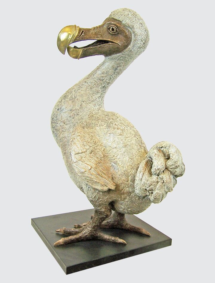 rjw-product-image-dodo-mother-2.jpg