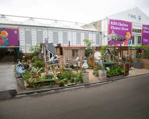 The finished stand at RHS Chelsea Flower Show The finished stand at RHS Chelsea Flower Show