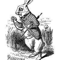 rjw-product-illustration-white-rabbit.jpg