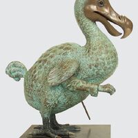rjw-product-image-mr-dodo-esquire-4.jpg