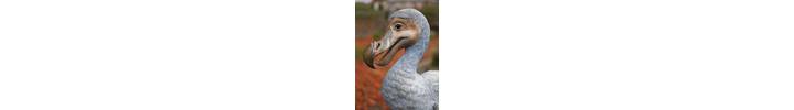 rjw-product-image-dodo-5.jpg