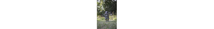 Mr Badger