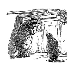 Mr Badger 6
