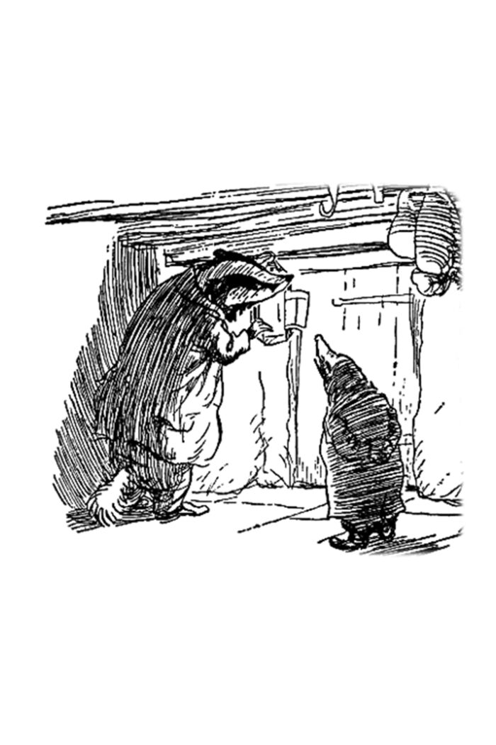 Mr Badger 6