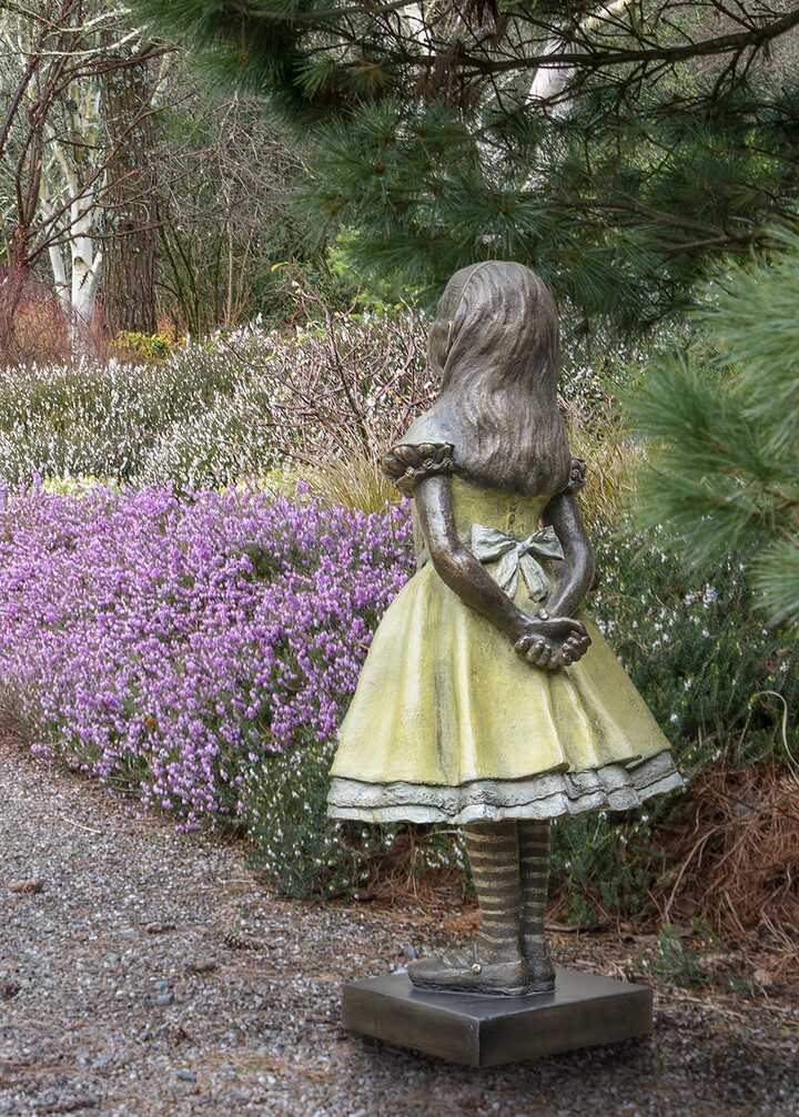 Alice (medium size)