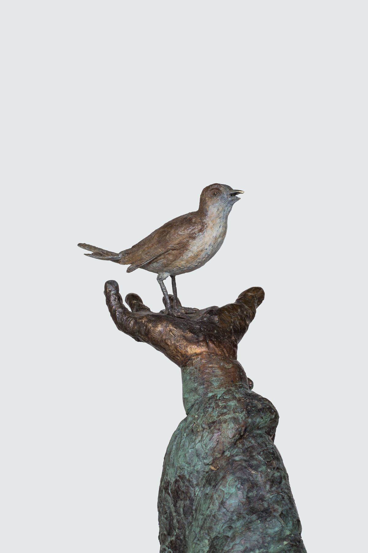 bird studio3.jpg