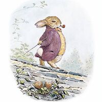 Bunny illustration.jpeg