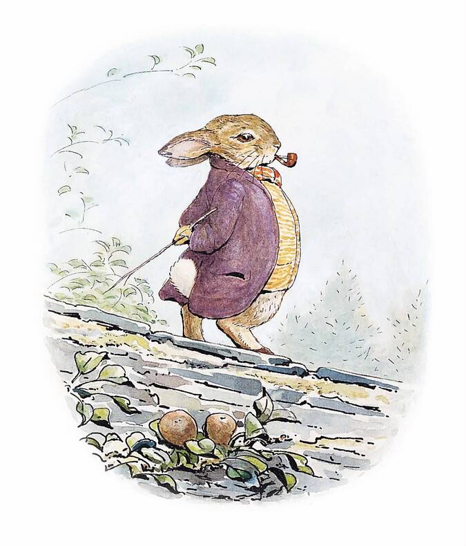 Bunny illustration.jpeg