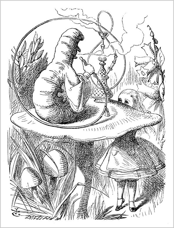 The Caterpillar - the original illustration by Sir John Tenniel