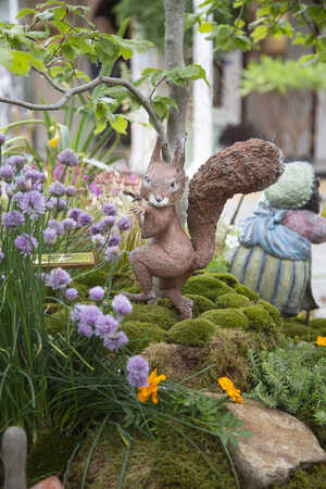 Squirrel Nutkin by Beatrix Potter at RHS Chelsea Flower Show