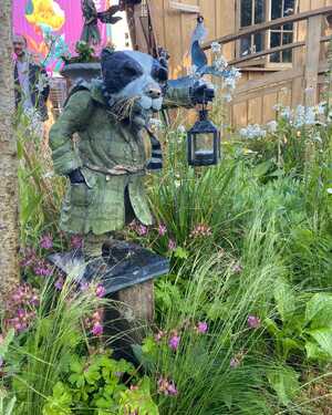 Badger at RHS Chelsea Flower Show