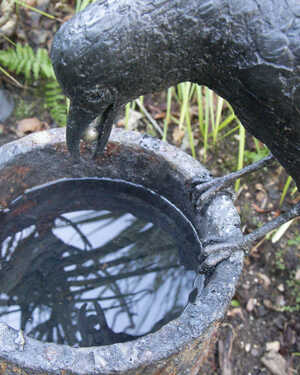 The Crow and the Pitcher water feature