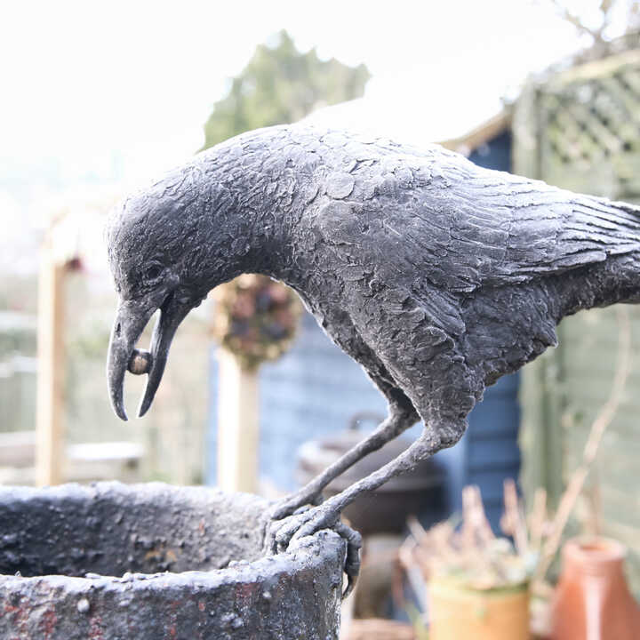 Aesop's Crow water feature touched with a layer of frost