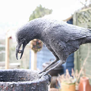 Aesop's Crow water feature touched with a layer of frost