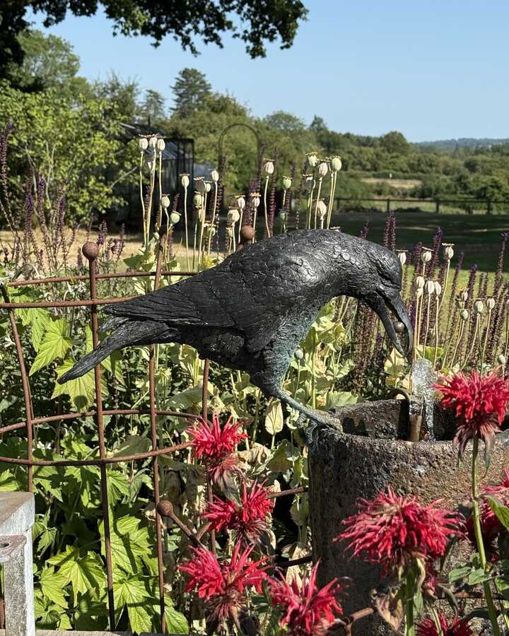 Aesop's Crow water feature
