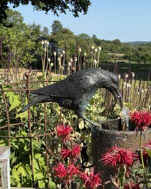 Aesop's Crow water feature